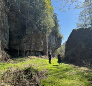 Hiking pic